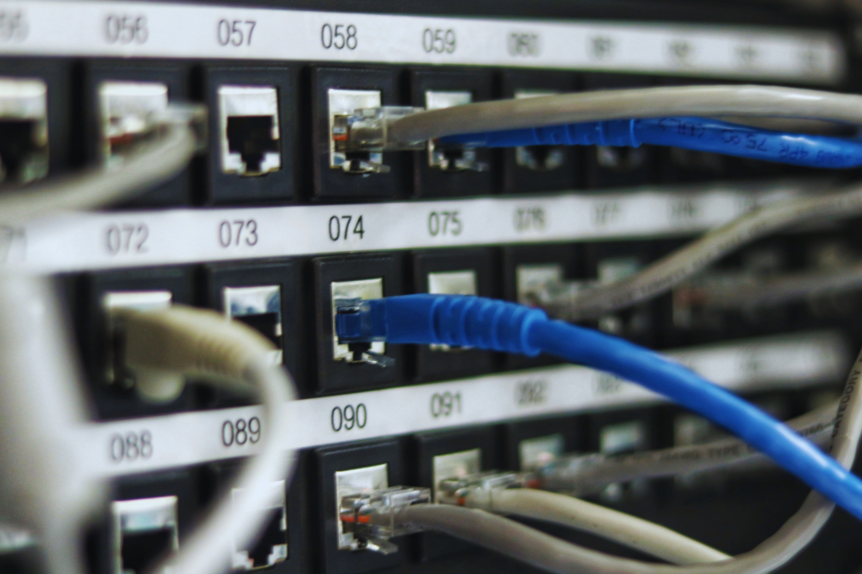 Mehrere blaue Kabel sind an einem Elektroserver angeschlossen.